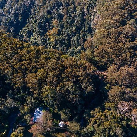 Purling Brook Falls Gwongorella Hotel สปริงบรูค ภายนอก รูปภาพ