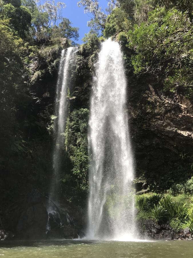 Purling Brook Falls Gwongorella Hotel สปริงบรูค ภายนอก รูปภาพ