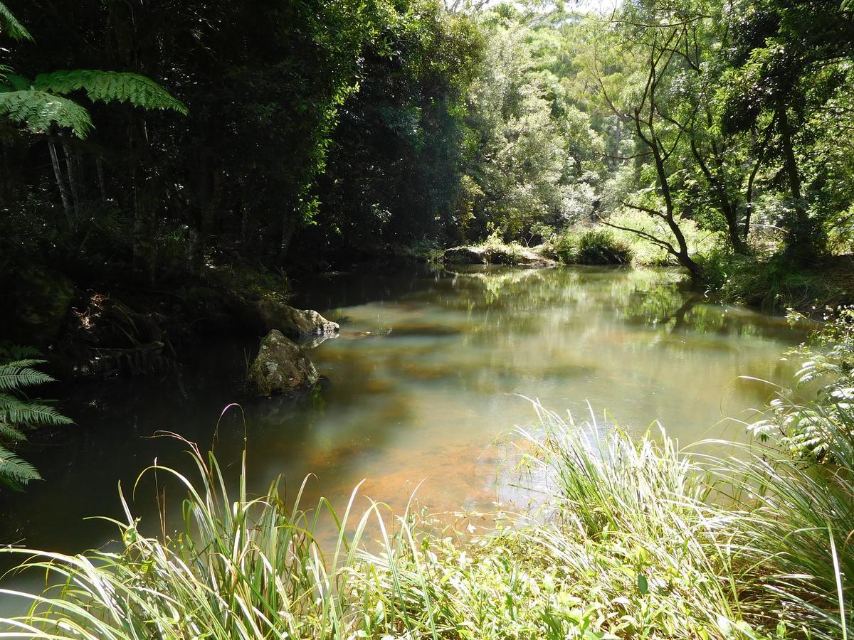 Purling Brook Falls Gwongorella Hotel สปริงบรูค ภายนอก รูปภาพ