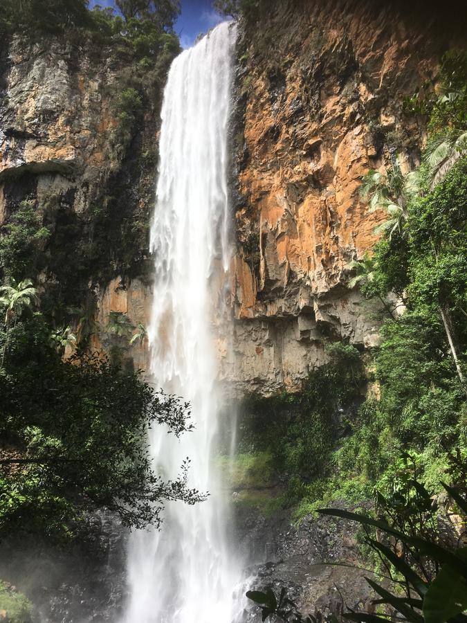 Purling Brook Falls Gwongorella Hotel สปริงบรูค ภายนอก รูปภาพ