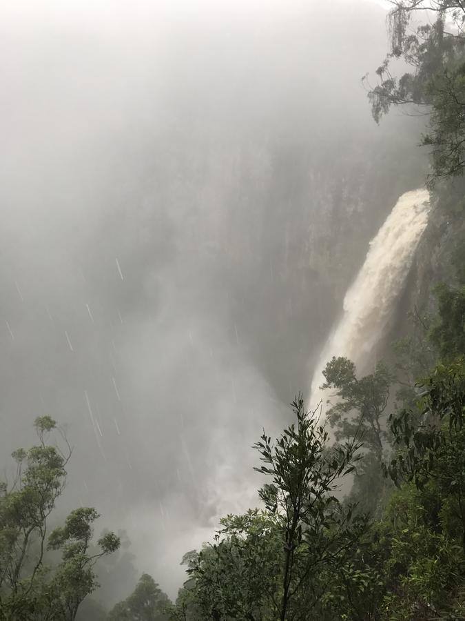 Purling Brook Falls Gwongorella Hotel สปริงบรูค ภายนอก รูปภาพ